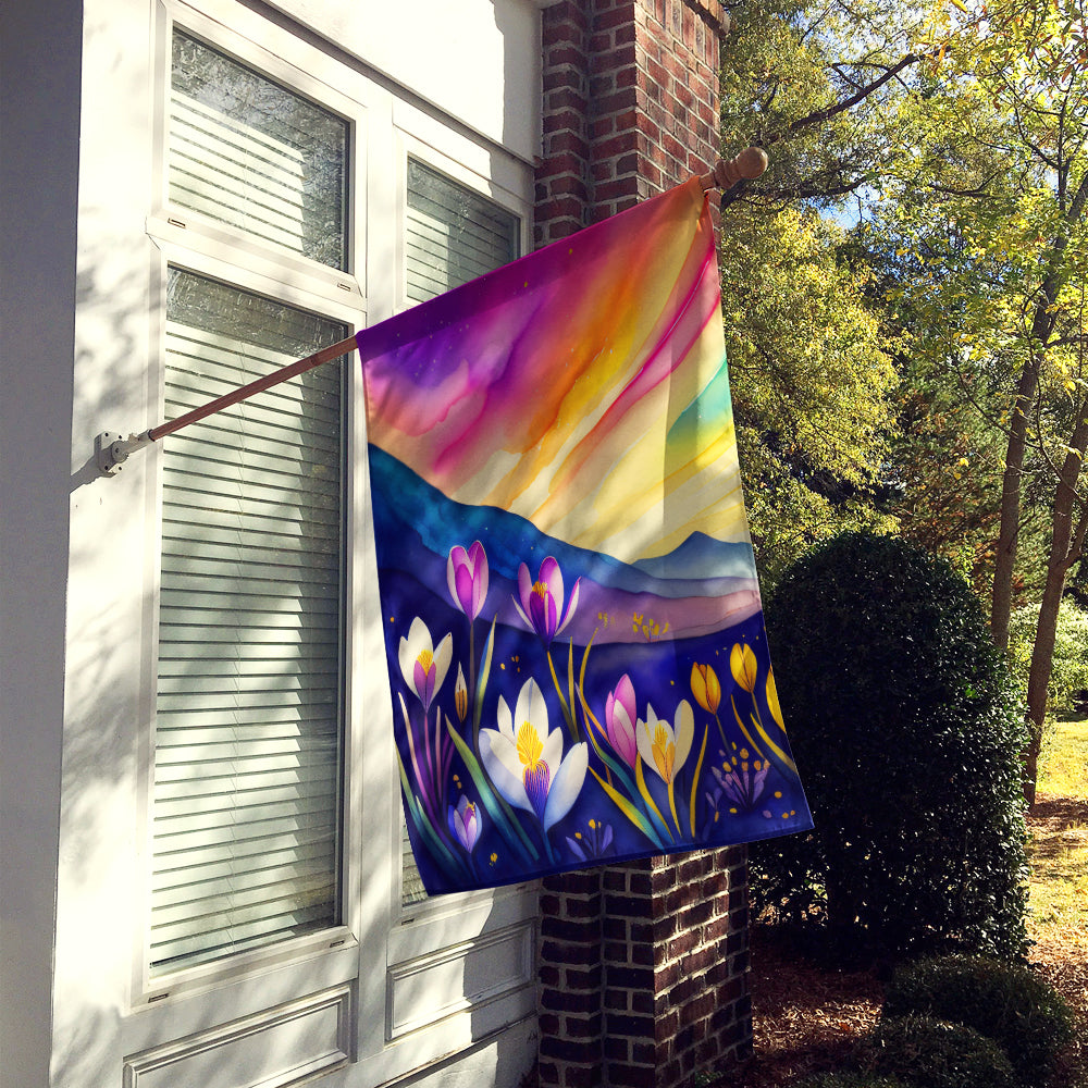 Buy this Crocus in Color House Flag