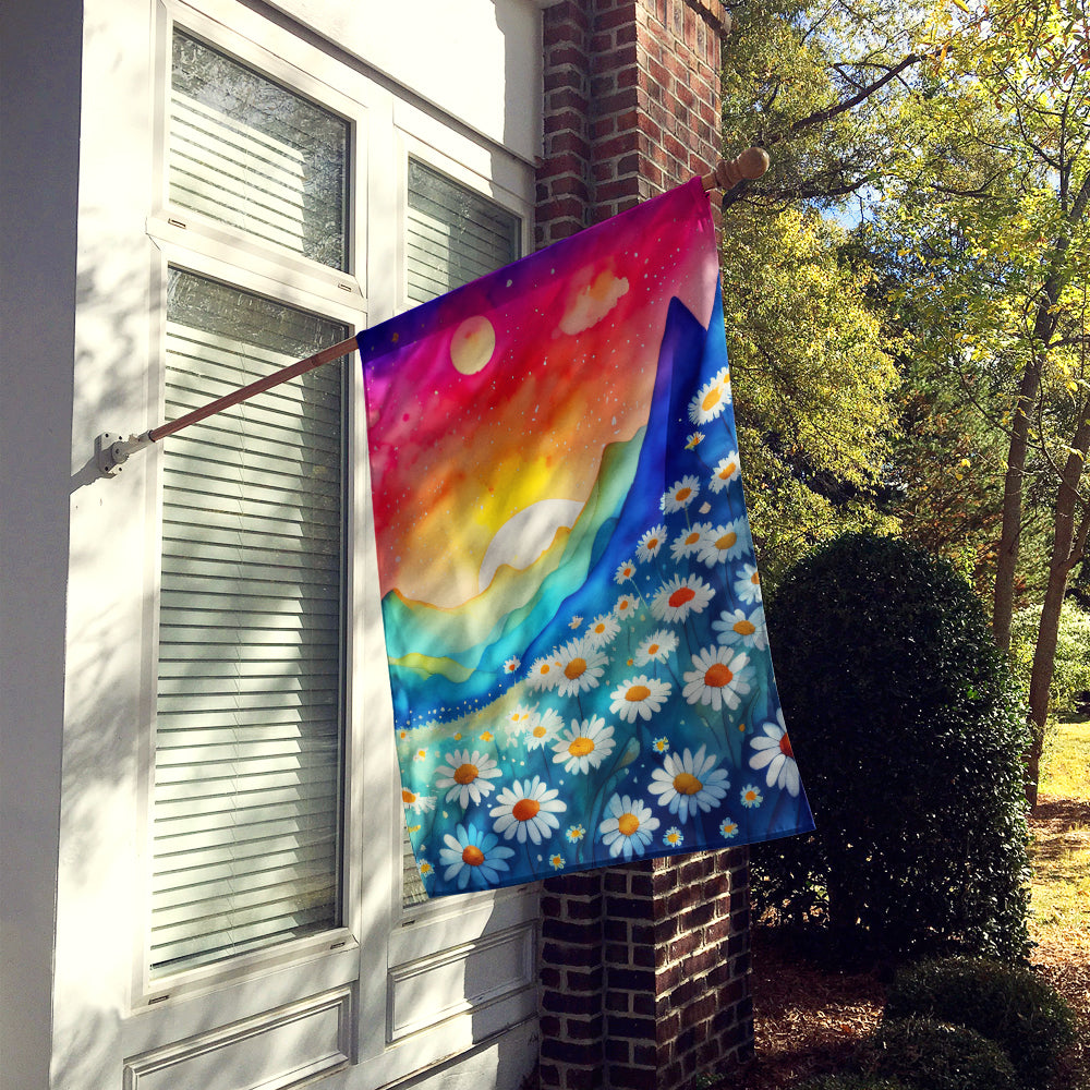 Buy this Daisies in Color House Flag