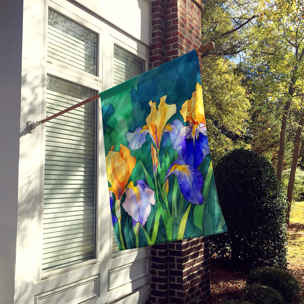 Tennessee Iris in Watercolor House Flag