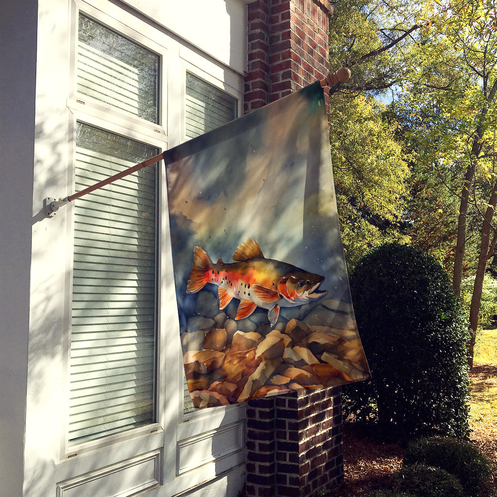 Buy this Brook Trout House Flag