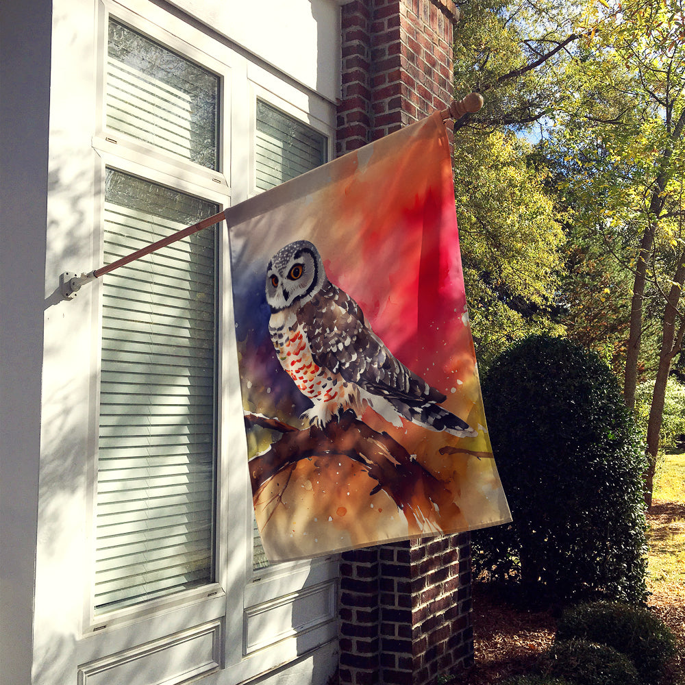 Buy this Northern Hawk Owl House Flag