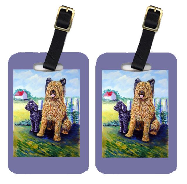 Pair of 2 Briard Training Day for the puppy Luggage Tags by Caroline's Treasures