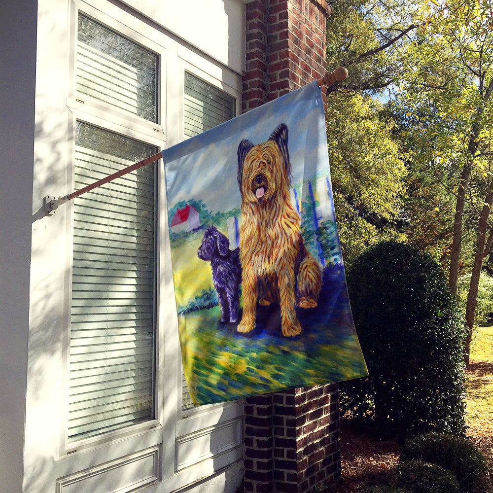 Briard Training Day for the puppy Flag Canvas House Size