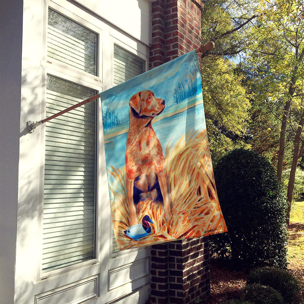 Chesapeake Bay Retriever Flag Canvas House Size