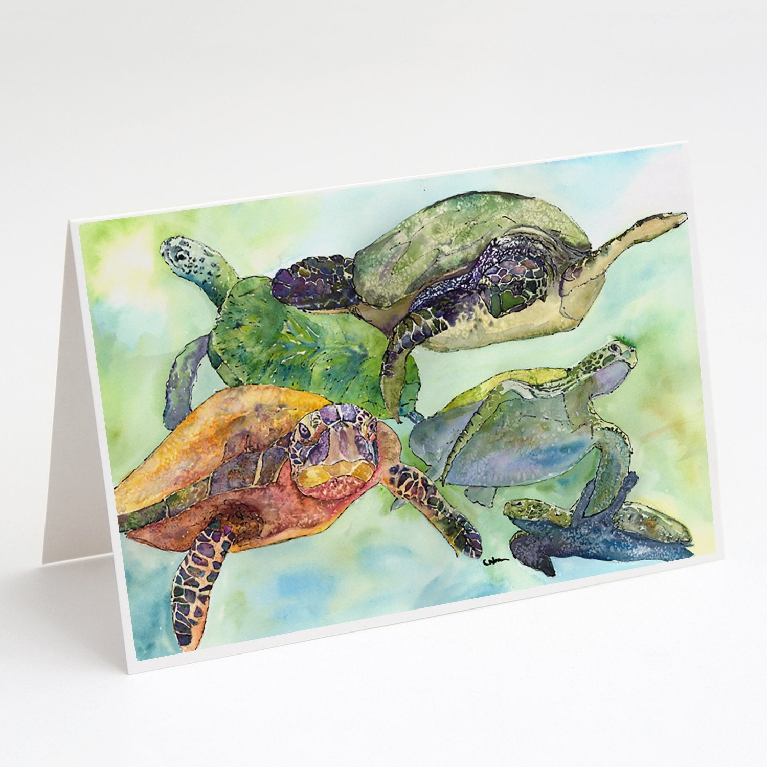 Buy this Turtle Loggerhead Family Greeting Cards and Envelopes Pack of 8