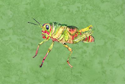 Grasshopper on Avacado Fabric Placemat by Caroline's Treasures