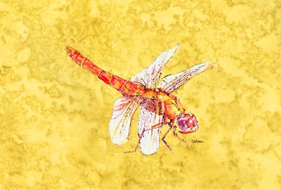 Dragonfly on Yellow Fabric Placemat by Caroline&#39;s Treasures