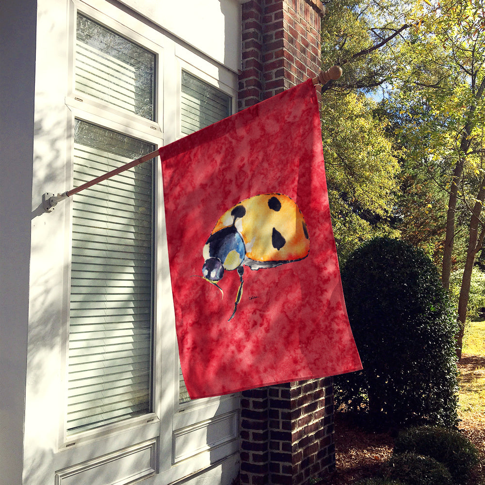 Lady Bug on Red Flag Canvas House Size