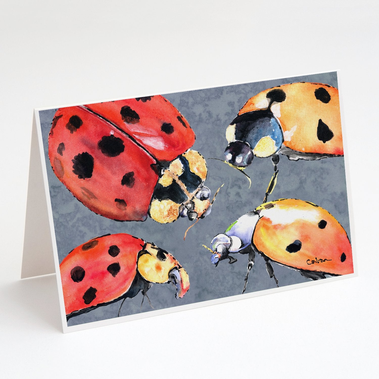Buy this Lady Bug Multiple Greeting Cards and Envelopes Pack of 8