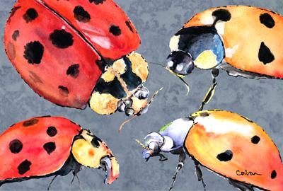 Lady Bug Multiple Fabric Placemat by Caroline&#39;s Treasures