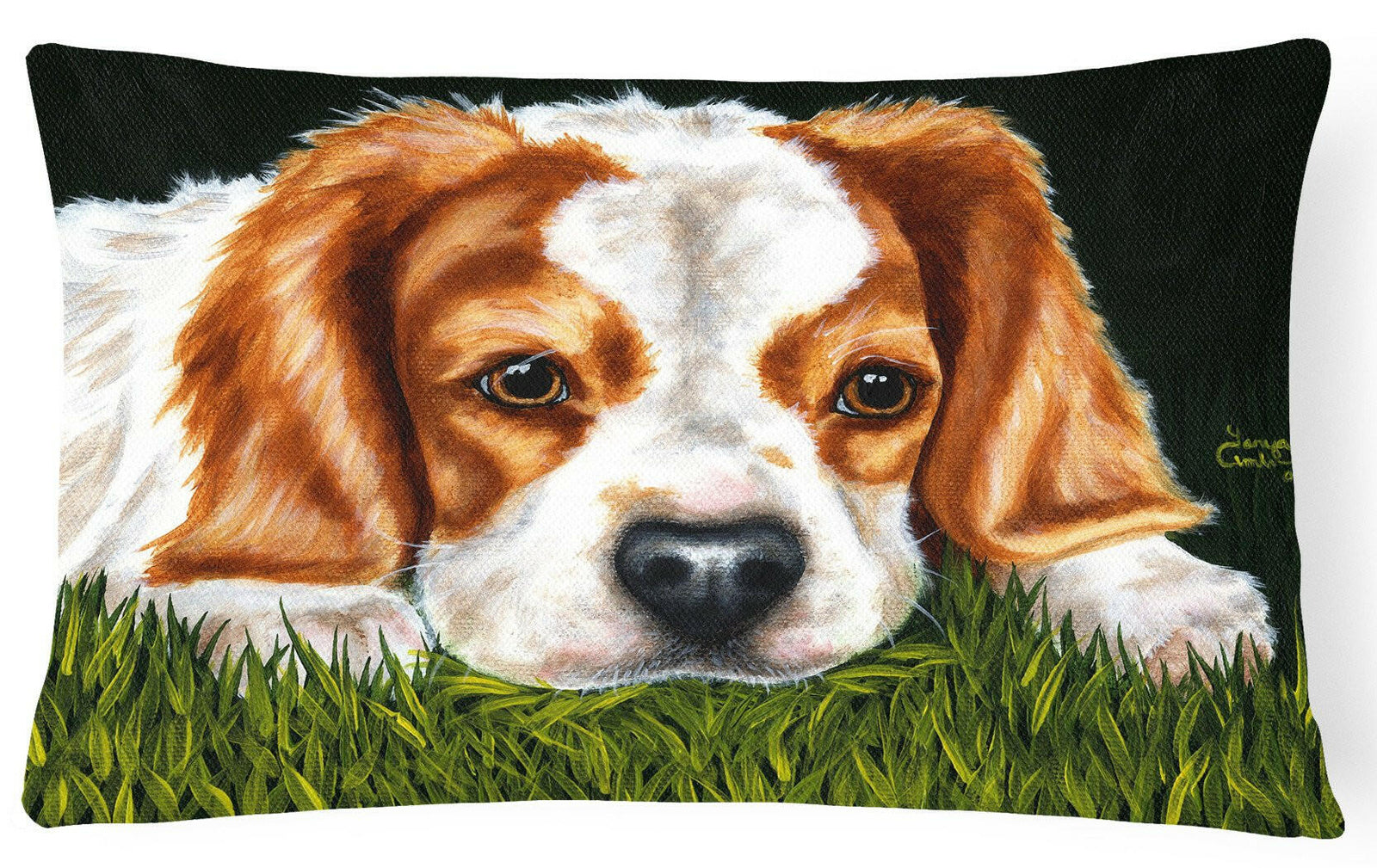 Cavalier Spaniel in the Grass Fabric Decorative Pillow AMB1395PW1216 by Caroline's Treasures
