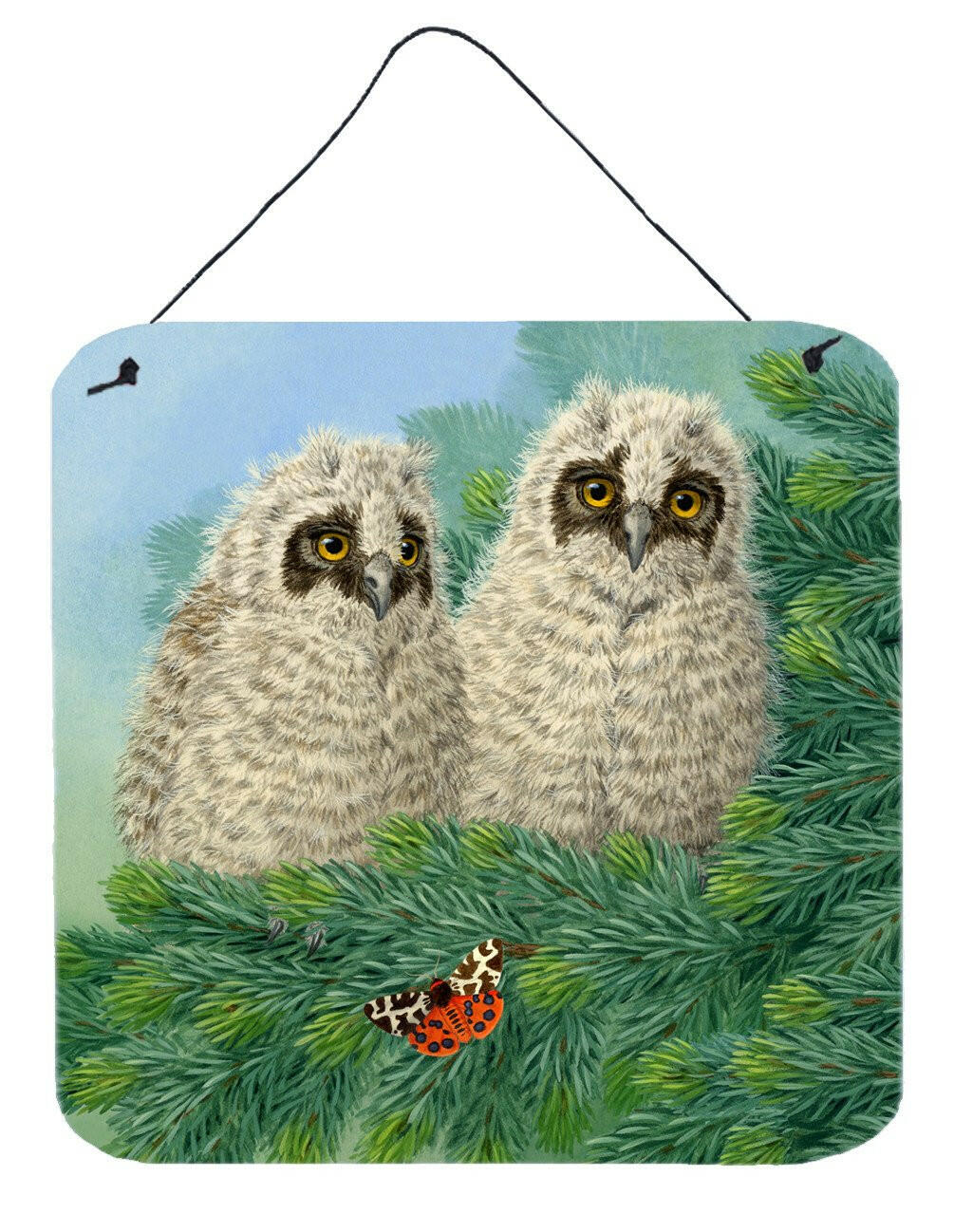 Owlets and Butterfly by Sarah Adams Wall or Door Hanging Prints ASAD0724DS66 by Caroline's Treasures