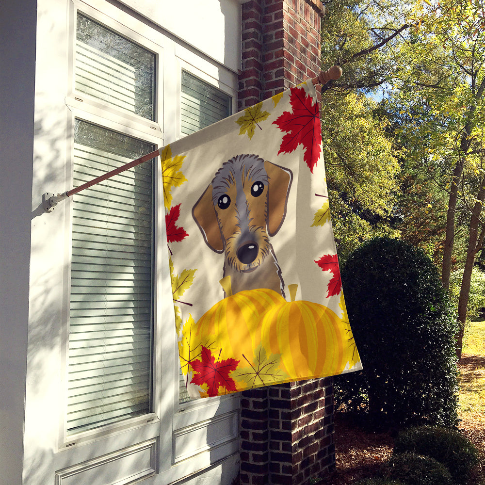 Wirehaired Dachshund Thanksgiving Flag Canvas House Size BB2039CHF