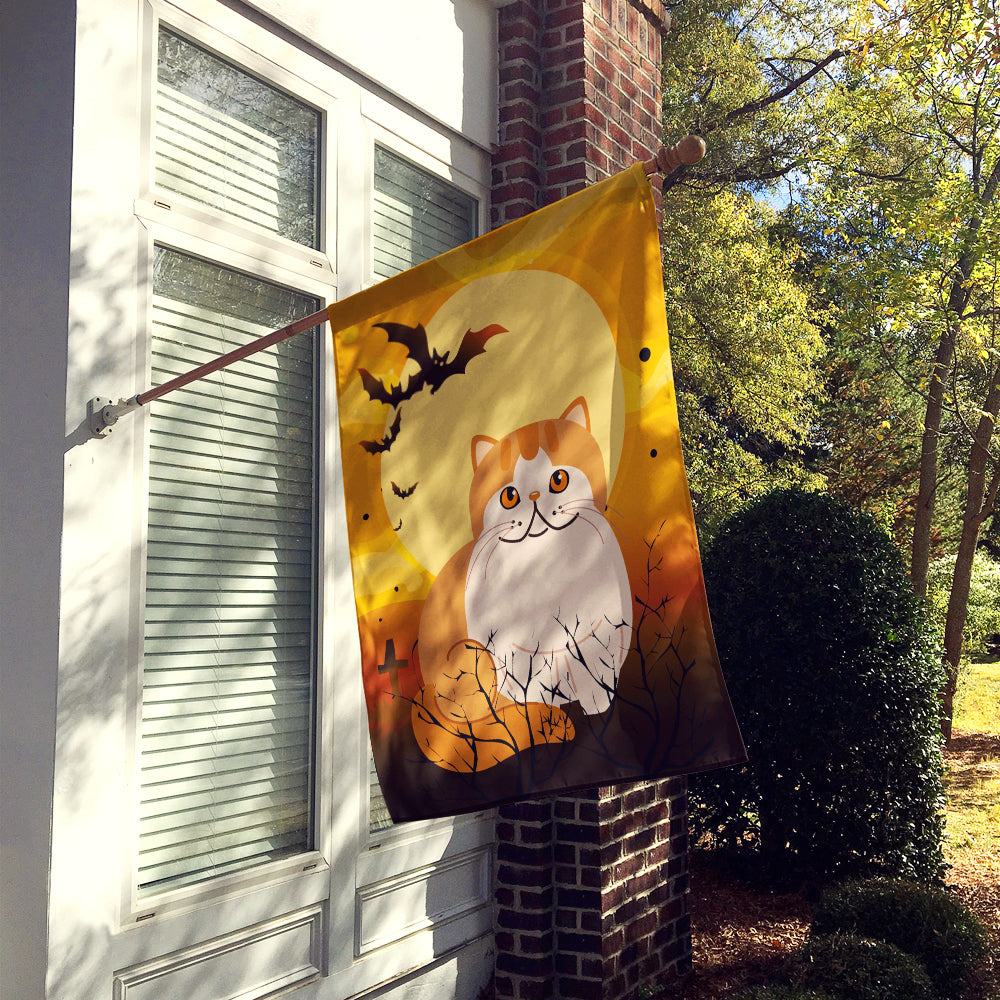 Halloween Exotic Shorthair Cat Flag Canvas House Size BB4444CHF