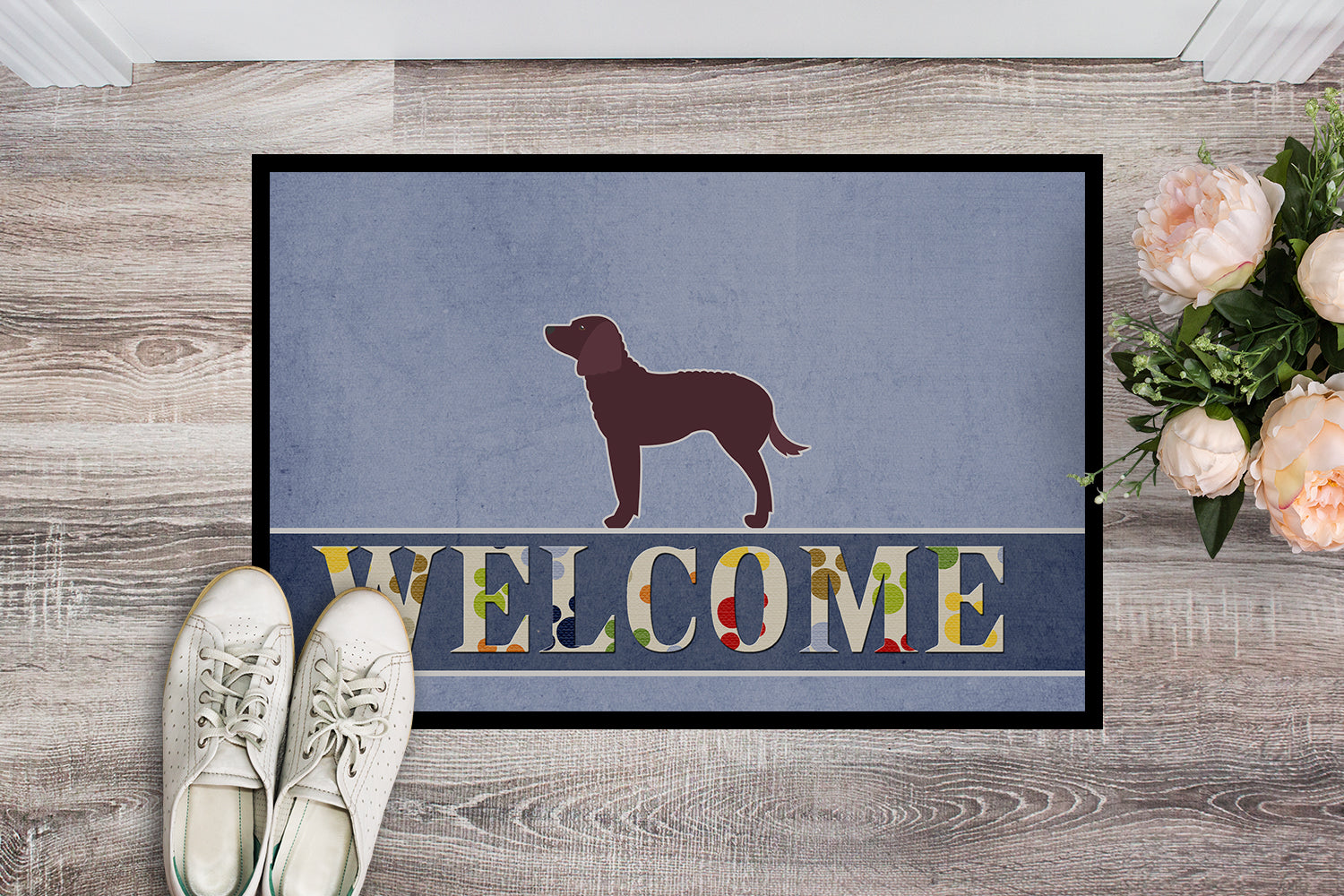 American Water Spaniel Welcome Indoor or Outdoor Mat 18x27 BB5505MAT - the-store.com