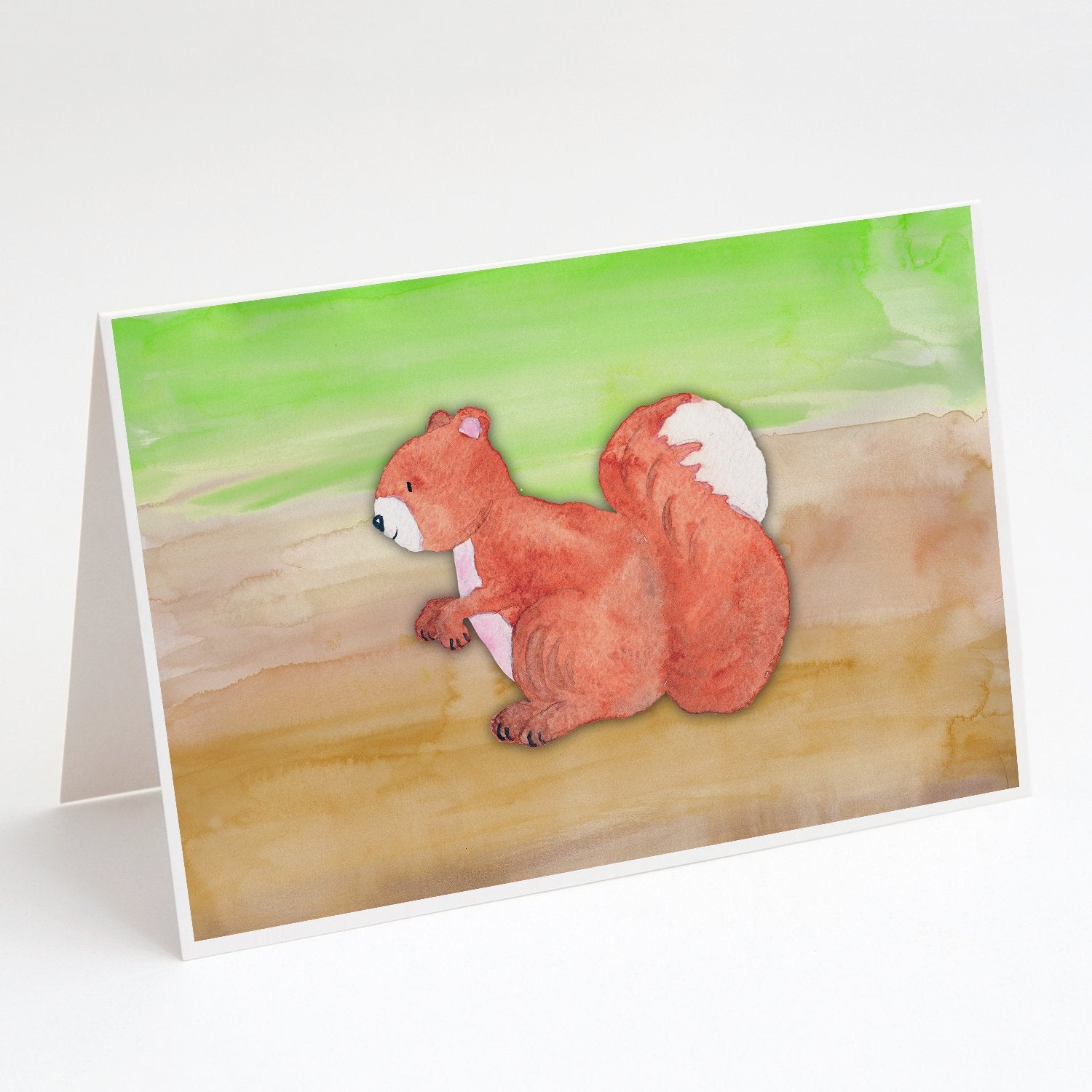 Buy this Squirrel Watercolor Greeting Cards and Envelopes Pack of 8