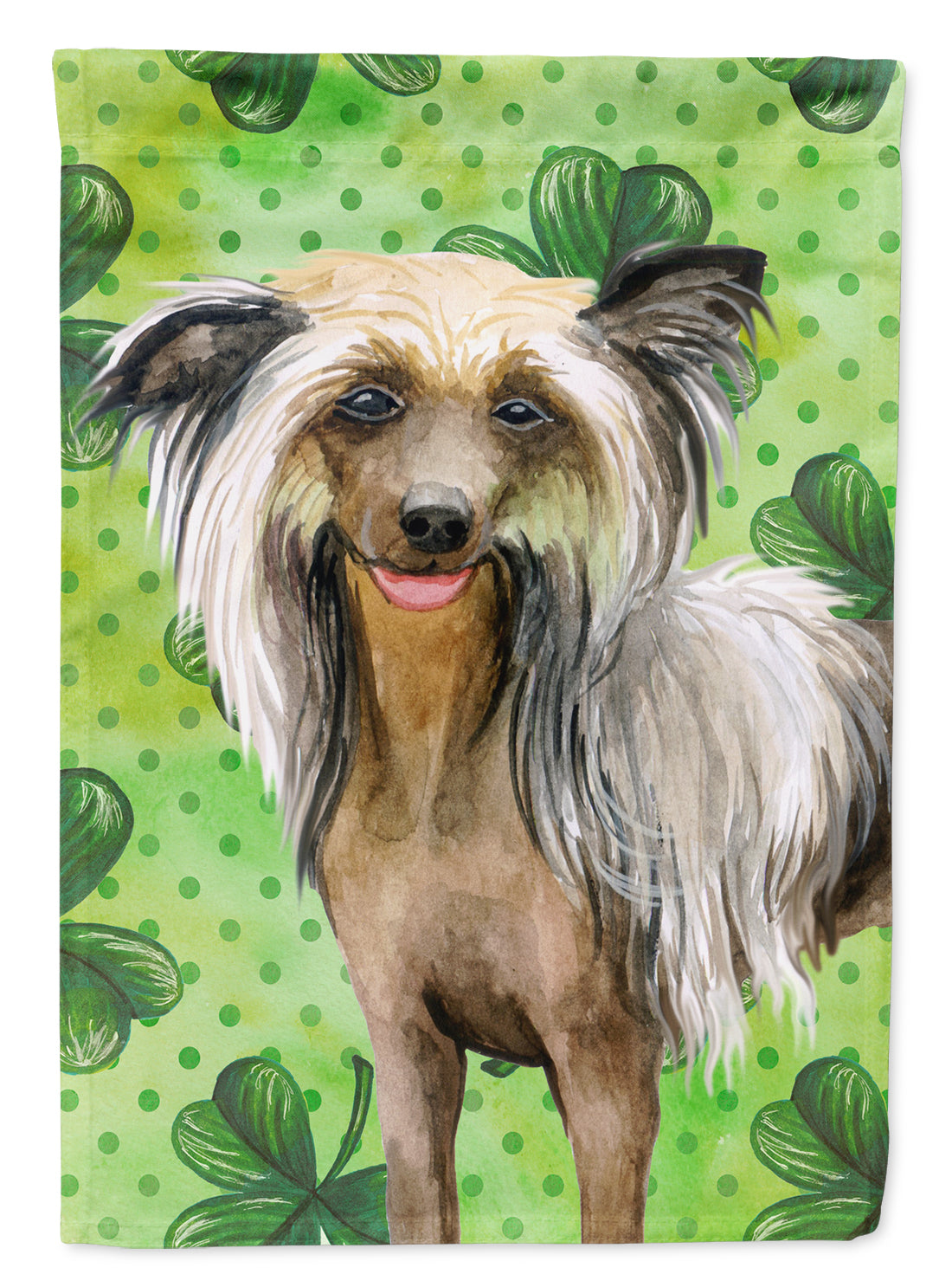 Chinese Crested St Patrick's Flag Canvas House Size BB9833CHF