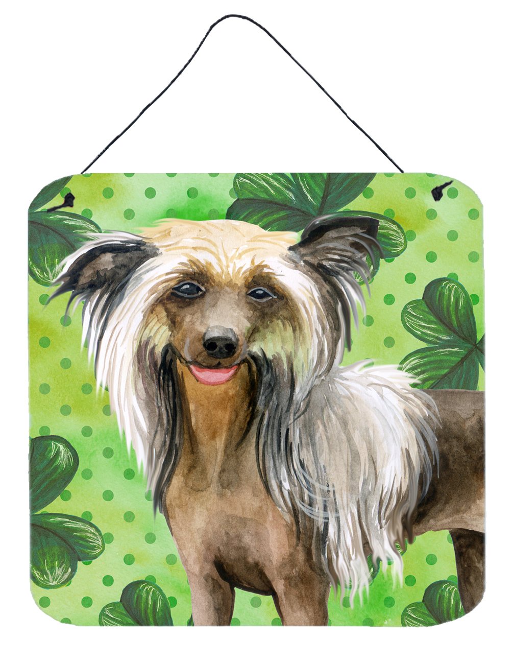 Chinese Crested St Patrick's Wall or Door Hanging Prints BB9833DS66 by Caroline's Treasures
