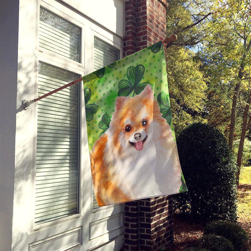 Pomeranian #2 St Patrick's Flag Canvas House Size BB9890CHF