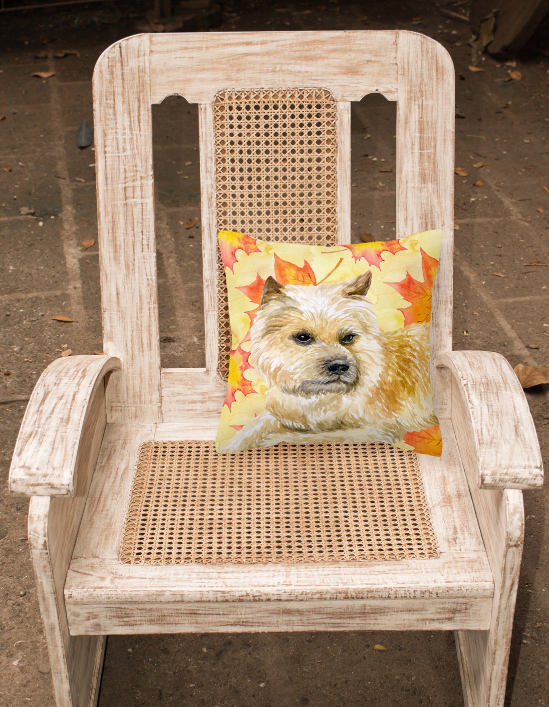Cairn Terrier Fall Fabric Decorative Pillow BB9951PW1818 by Caroline's Treasures