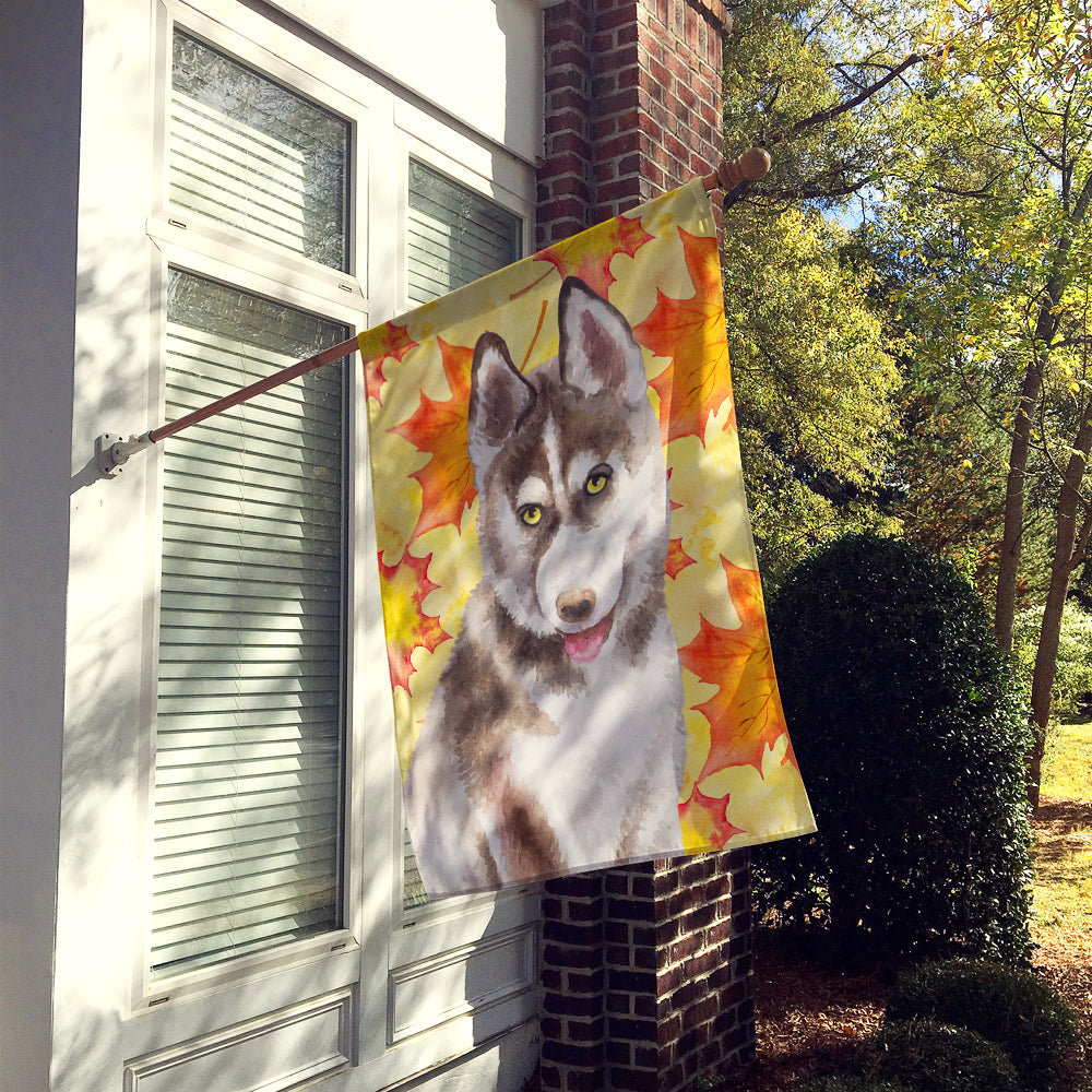 Siberian Husky Grey Fall Flag Canvas House Size BB9957CHF