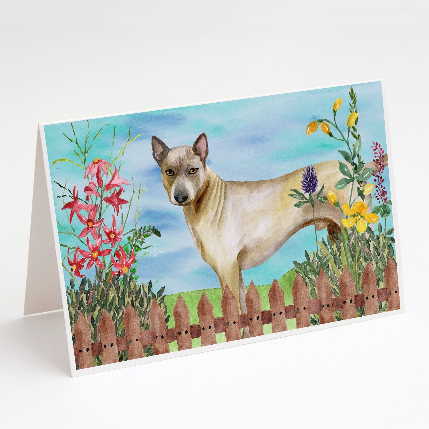 Buy this Thai Ridgeback Spring Greeting Cards and Envelopes Pack of 8