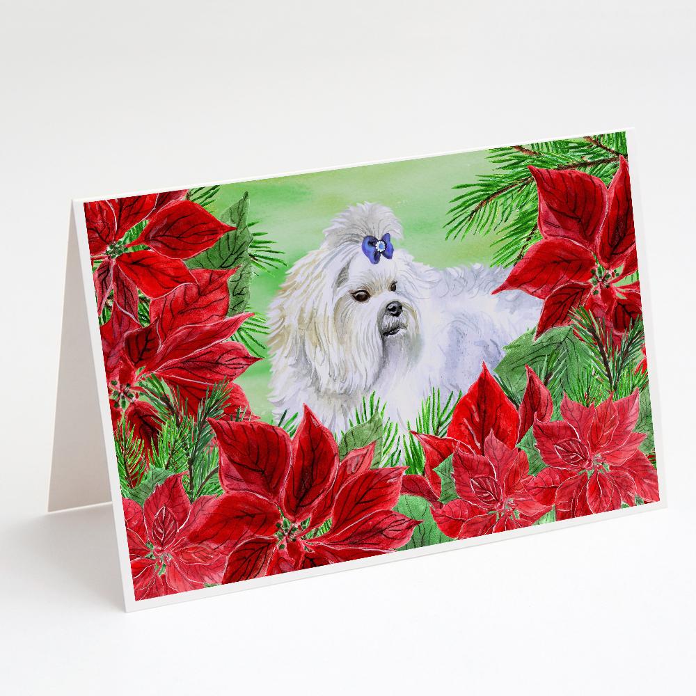 Buy this Maltese Poinsettas Greeting Cards and Envelopes Pack of 8