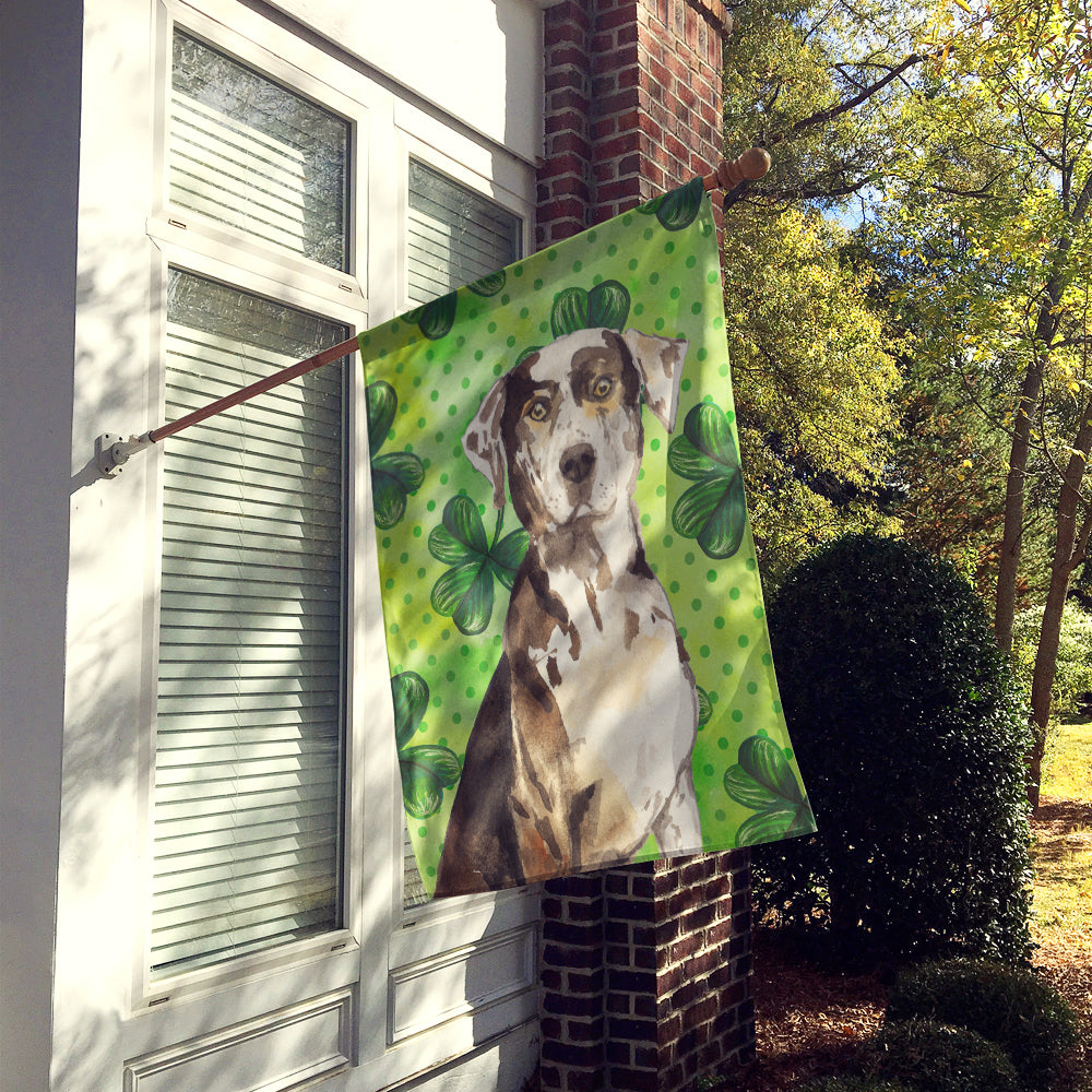 Shamrocks Catahoula Leopard Dog Flag Canvas House Size CK1808CHF