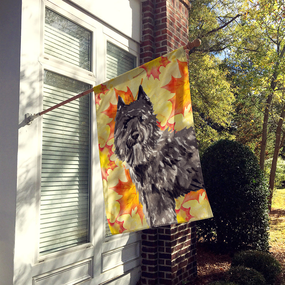 Fall Leaves Bouvier des Flandres Flag Canvas House Size CK1848CHF