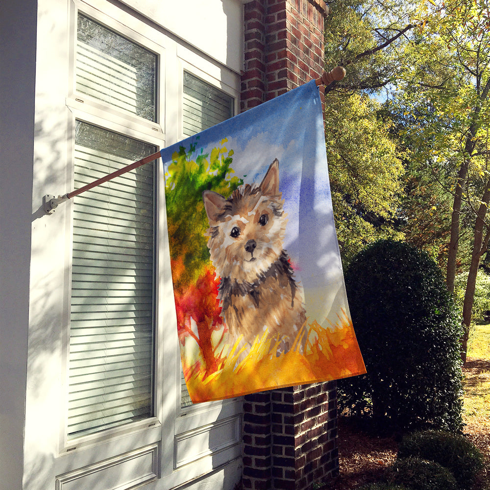 Fall Norwich Terrier Flag Canvas House Size CK1936CHF