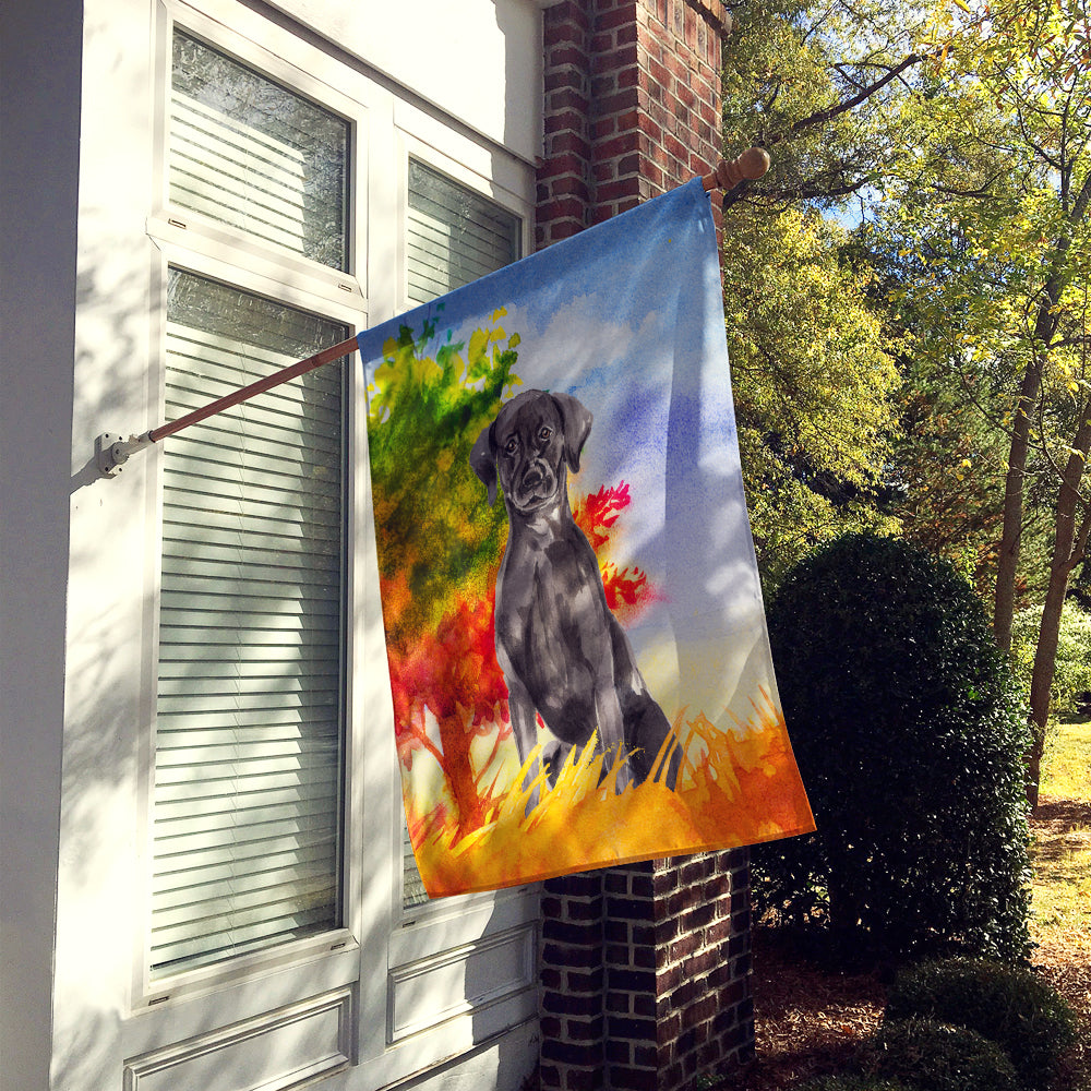 Fall Black Labrador Retriever Flag Canvas House Size CK1957CHF