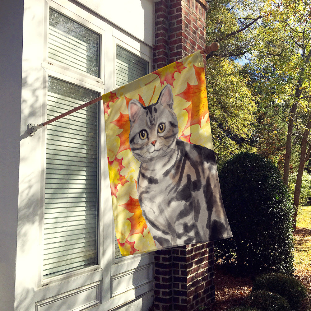 American Shorthair Fall Leaves Flag Canvas House Size CK3074CHF