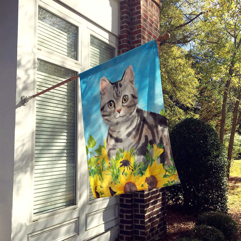 American Shorthair in Sunflowers Flag Canvas House Size CK3149CHF
