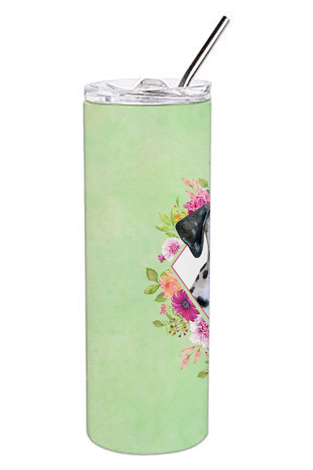 Dalmatian Puppy Green Flowers Double Walled Stainless Steel 20 oz Skinny Tumbler CK4296TBL20 by Caroline's Treasures