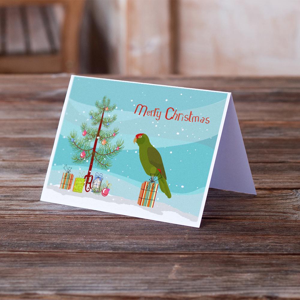 Buy this Amazon Parrot Merry Christmas Greeting Cards and Envelopes Pack of 8