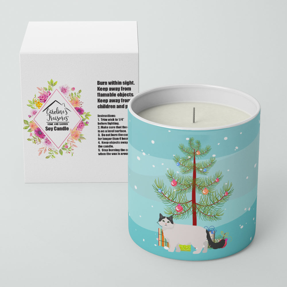 Ragamuffin #1 Cat Merry Christmas 10 oz Decorative Soy Candle - the-store.com