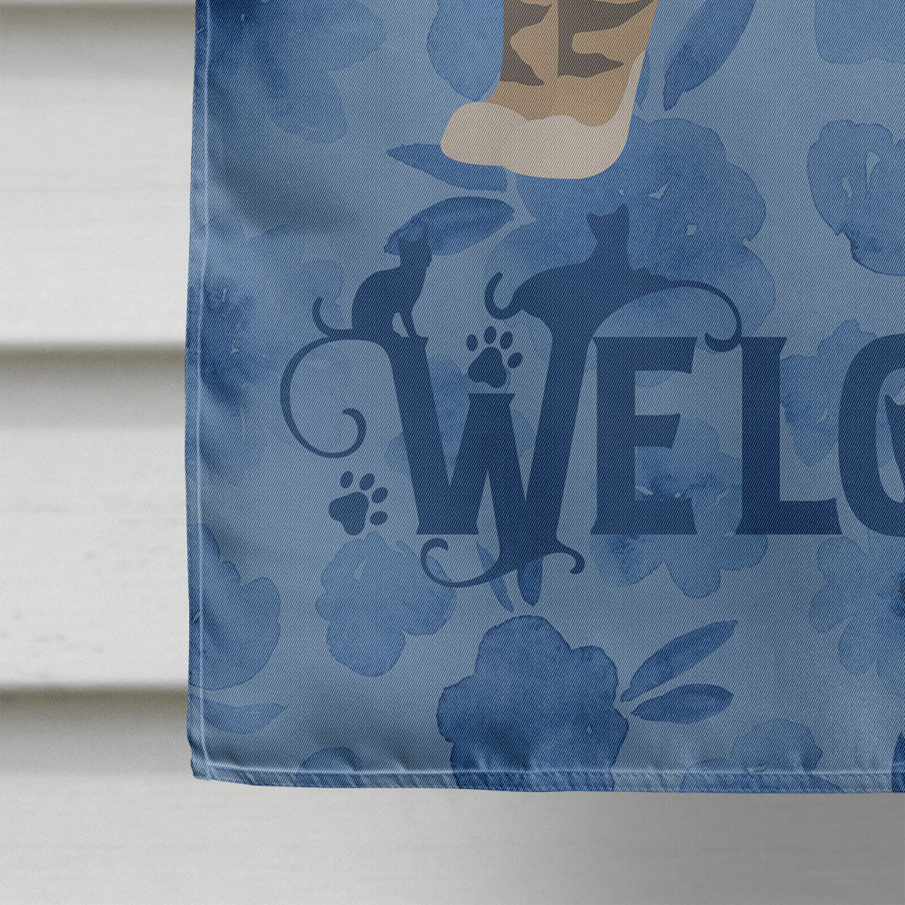 American Wirehair #1 Cat Welcome Flag Canvas House Size CK4822CHF