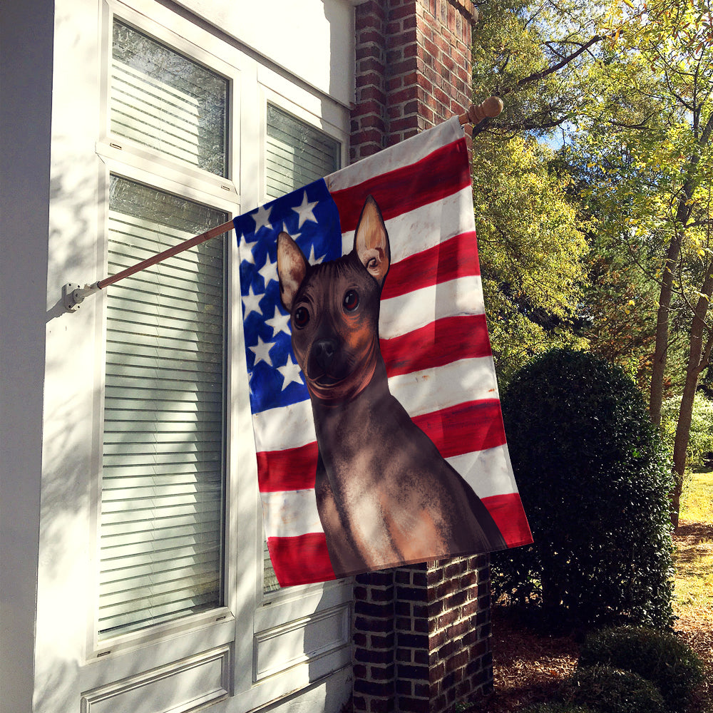 American Hairless Terrier American Flag Flag Canvas House Size CK6400CHF