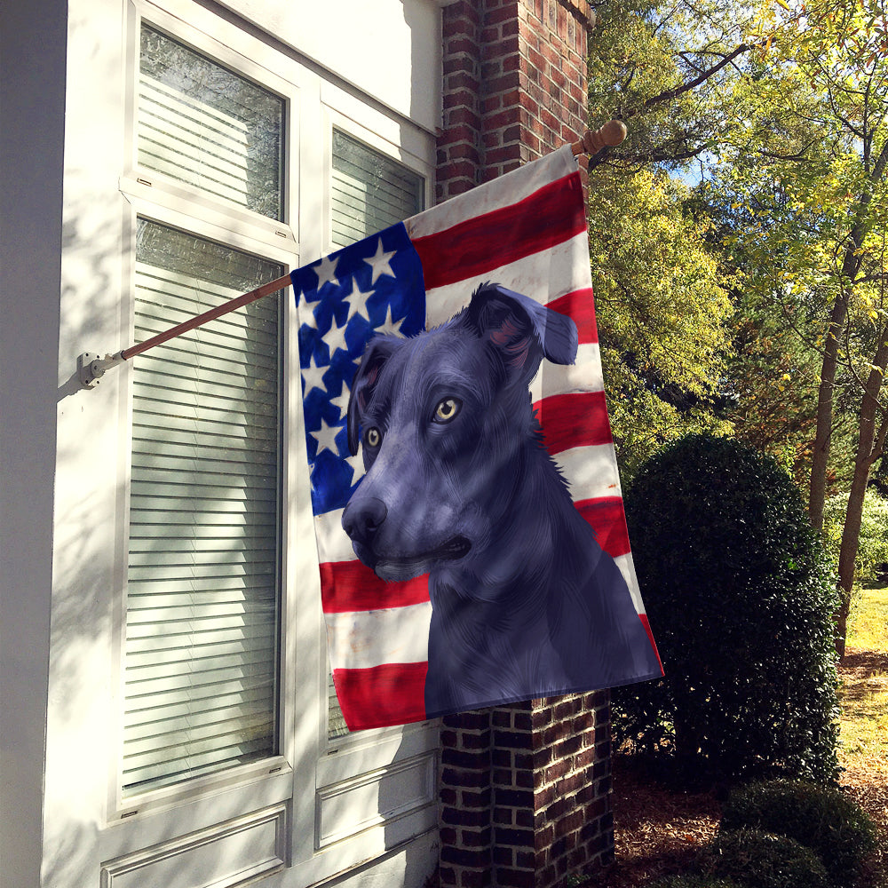Blue Lacy Dog American Flag Flag Canvas House Size CK6442CHF