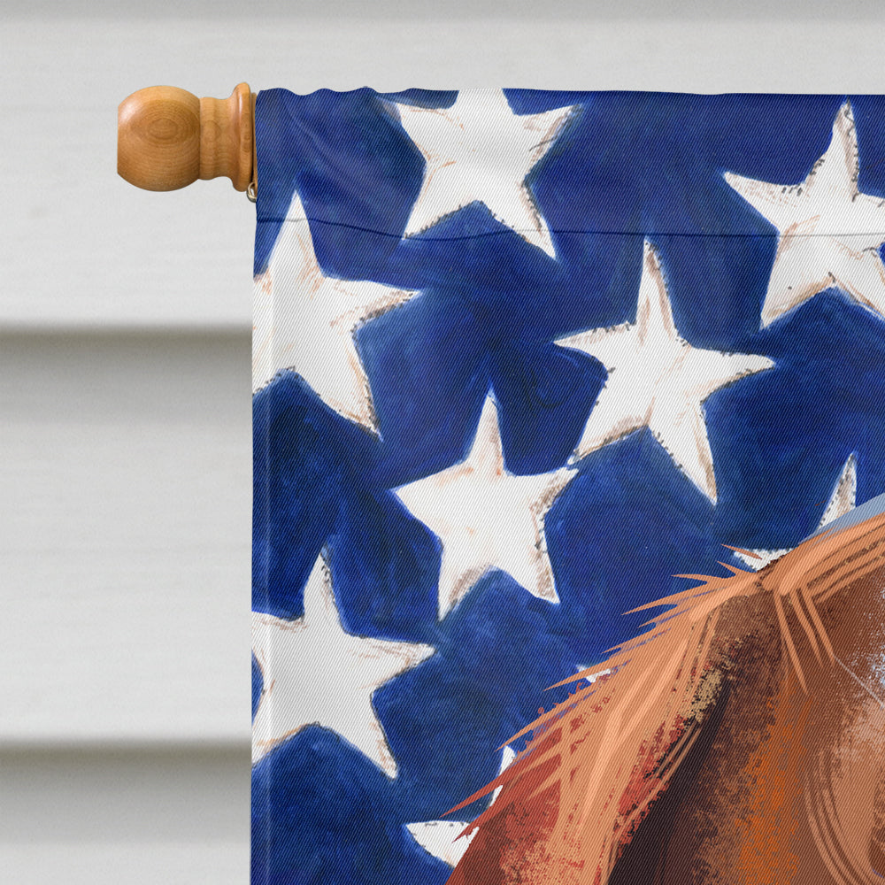 Hunting Dog American Flag Flag Canvas House Size CK6563CHF