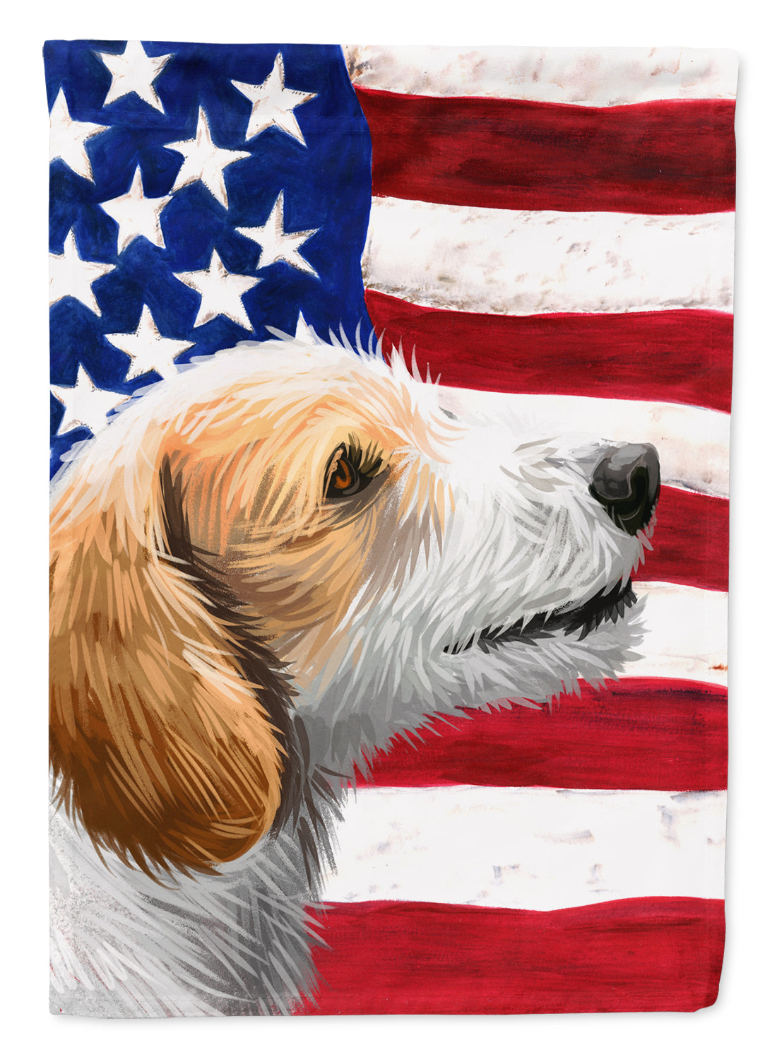 Istrian Coarse-haired Hound American Flag Flag Canvas House Size CK6574CHF