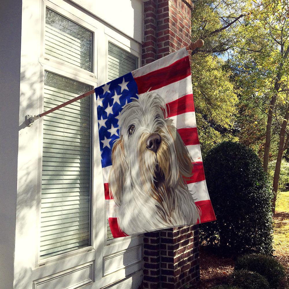 Spinone Italiano Dog American Flag Flag Canvas House Size CK6720CHF