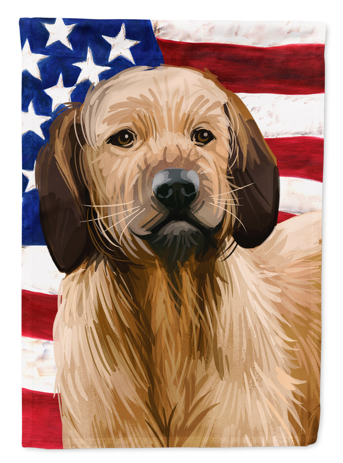 Styrian Coarse-haired Hound American Flag Flag Canvas House Size CK6728CHF