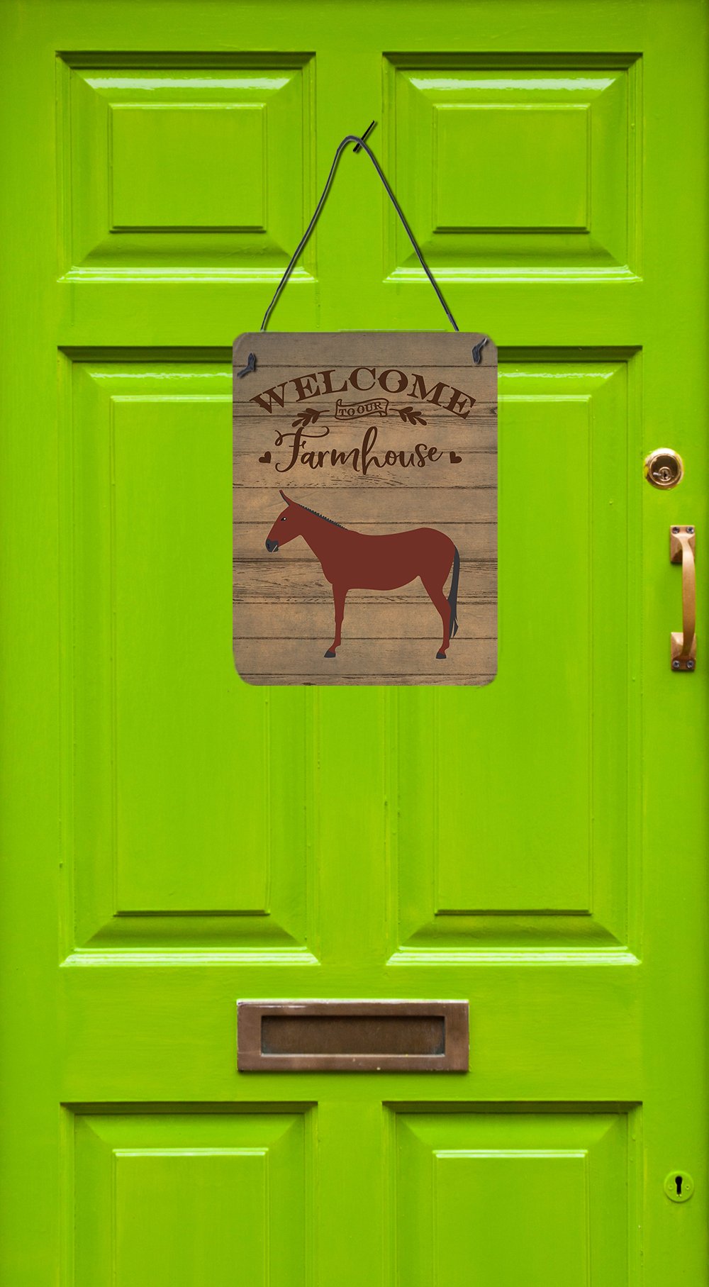 Hinny Horse Donkey Welcome Wall or Door Hanging Prints CK6794DS1216 by Caroline's Treasures