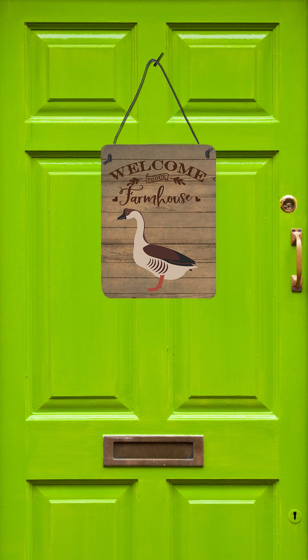 Chinese Goose Welcome Wall or Door Hanging Prints CK6840DS1216 by Caroline's Treasures