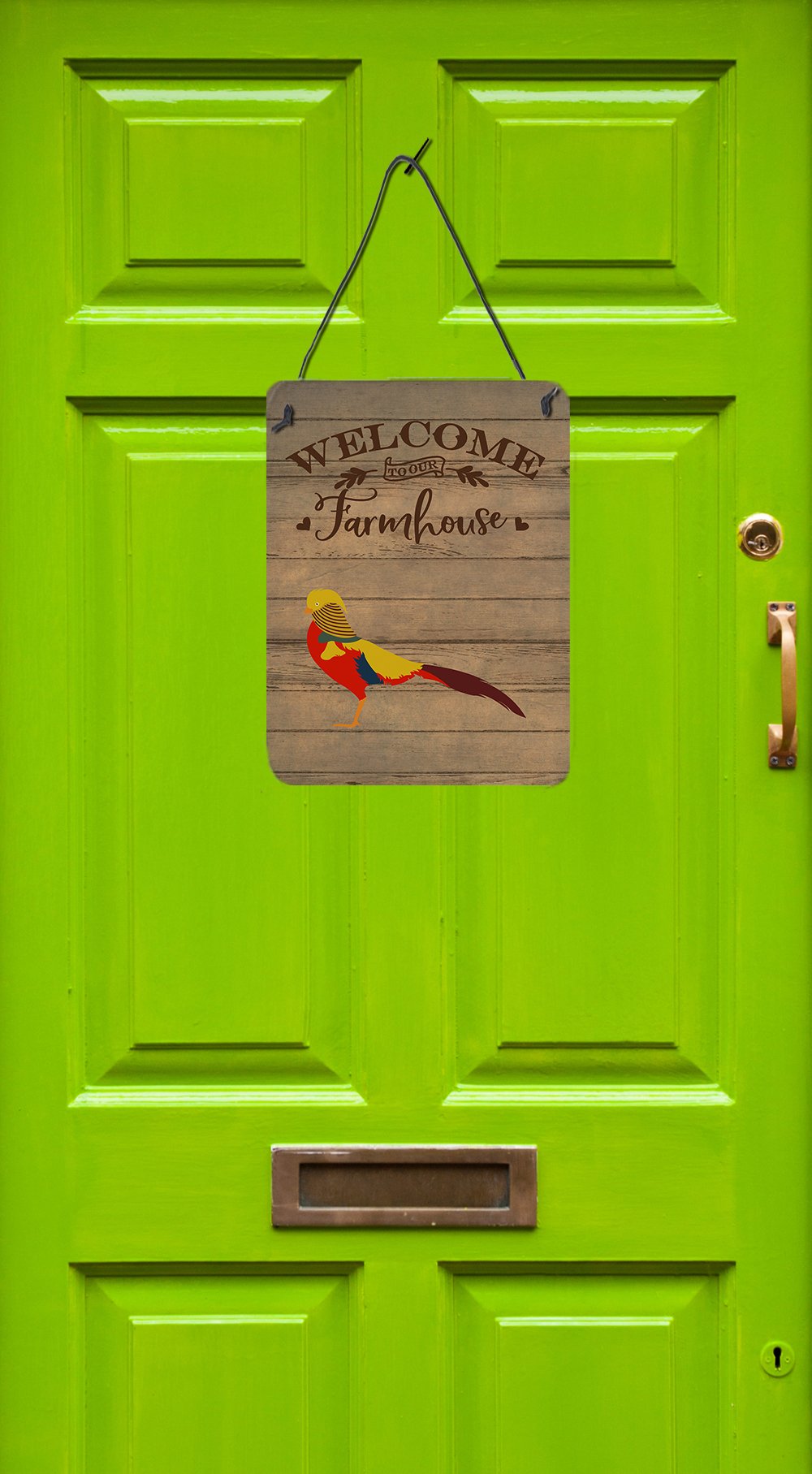 Golden or Chinese Pheasant Welcome Wall or Door Hanging Prints CK6872DS1216 by Caroline's Treasures