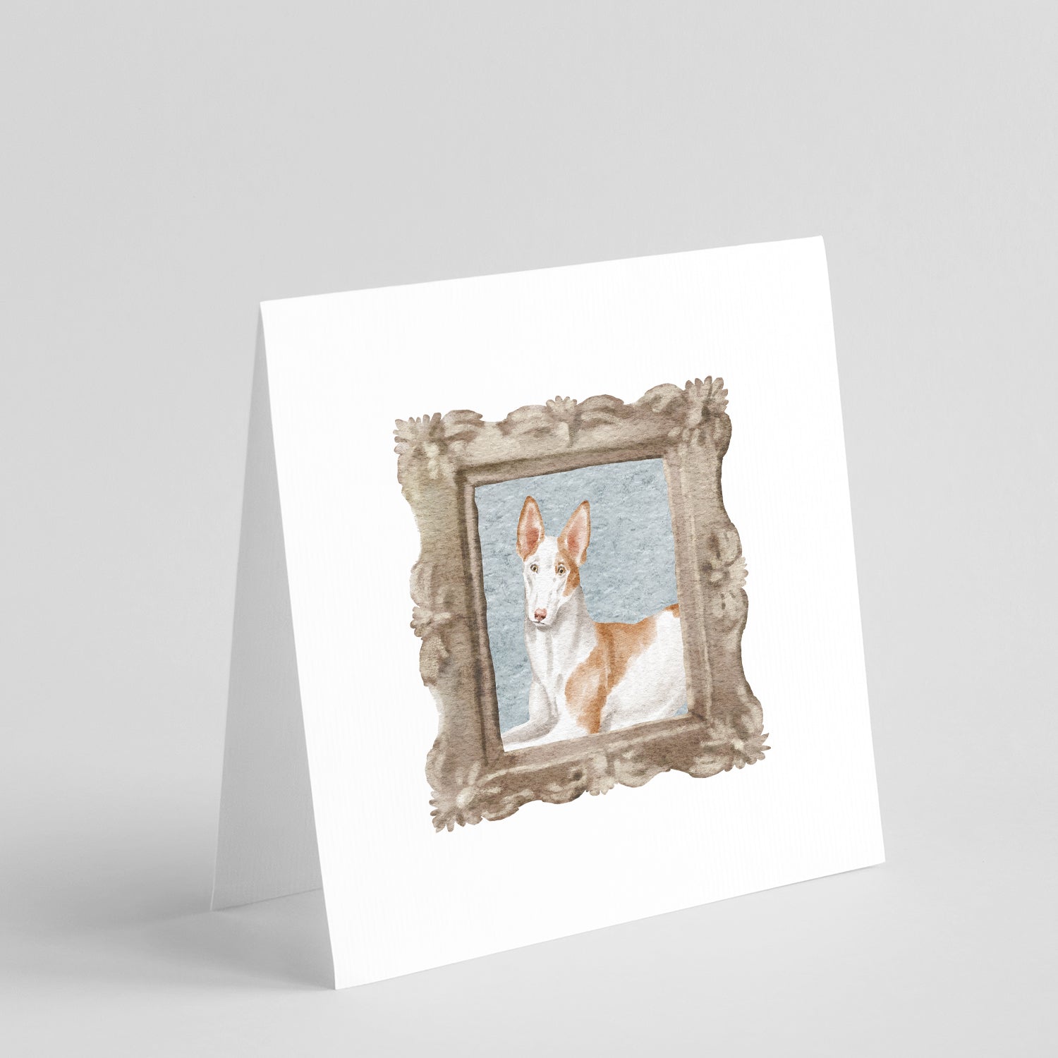 Buy this Ibizan Hound Front View 3 Square Greeting Cards and Envelopes Pack of 8