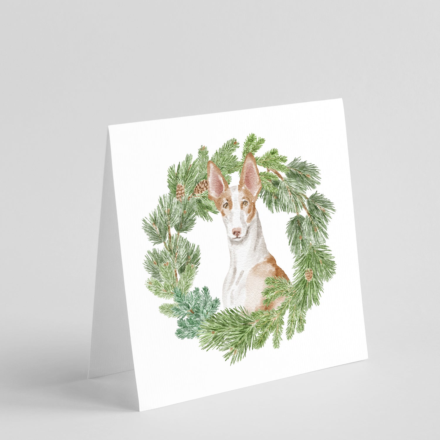 Buy this Ibizan Hound Sitting Proud with Christmas Wreath Square Greeting Cards and Envelopes Pack of 8