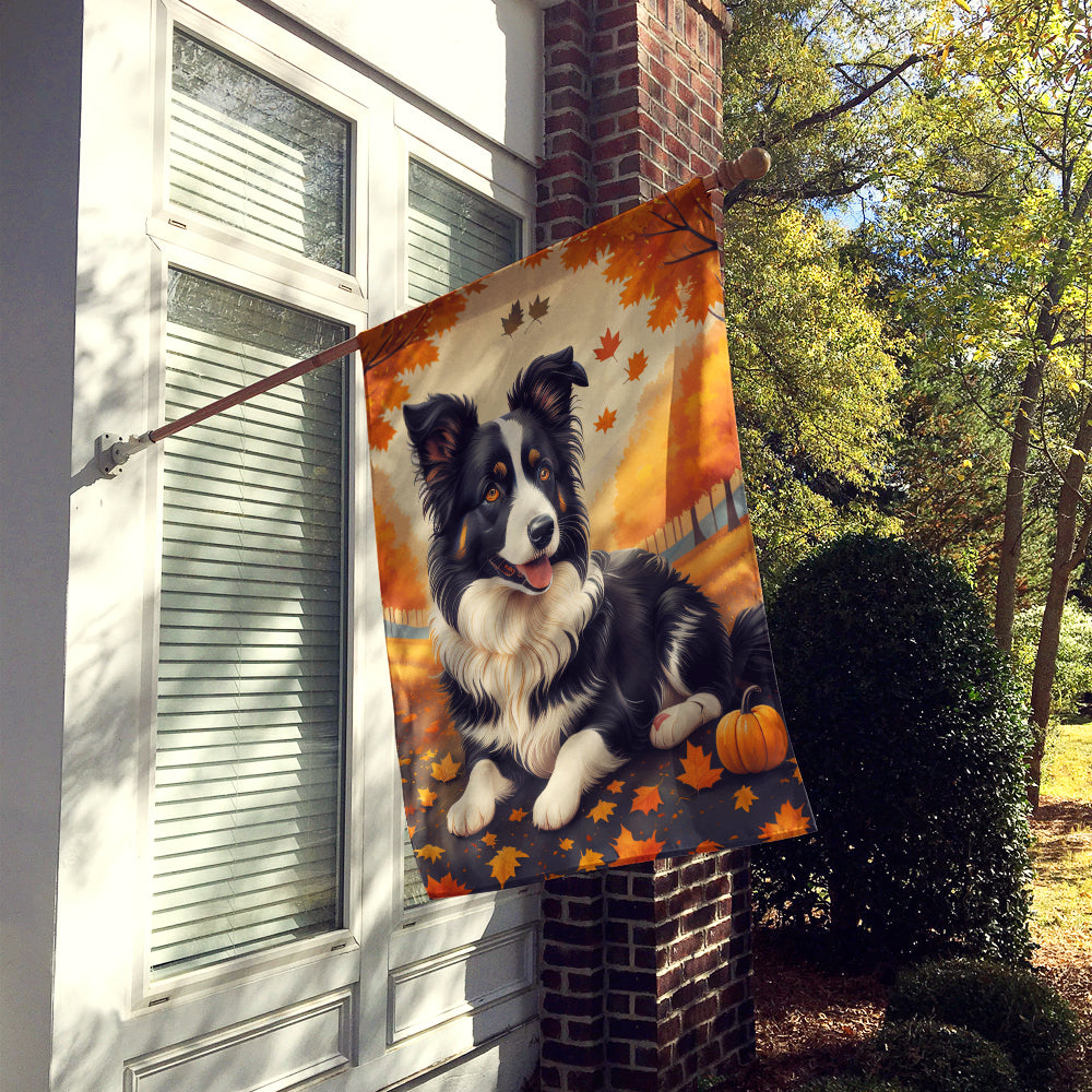 Buy this Border Collie Fall House Flag