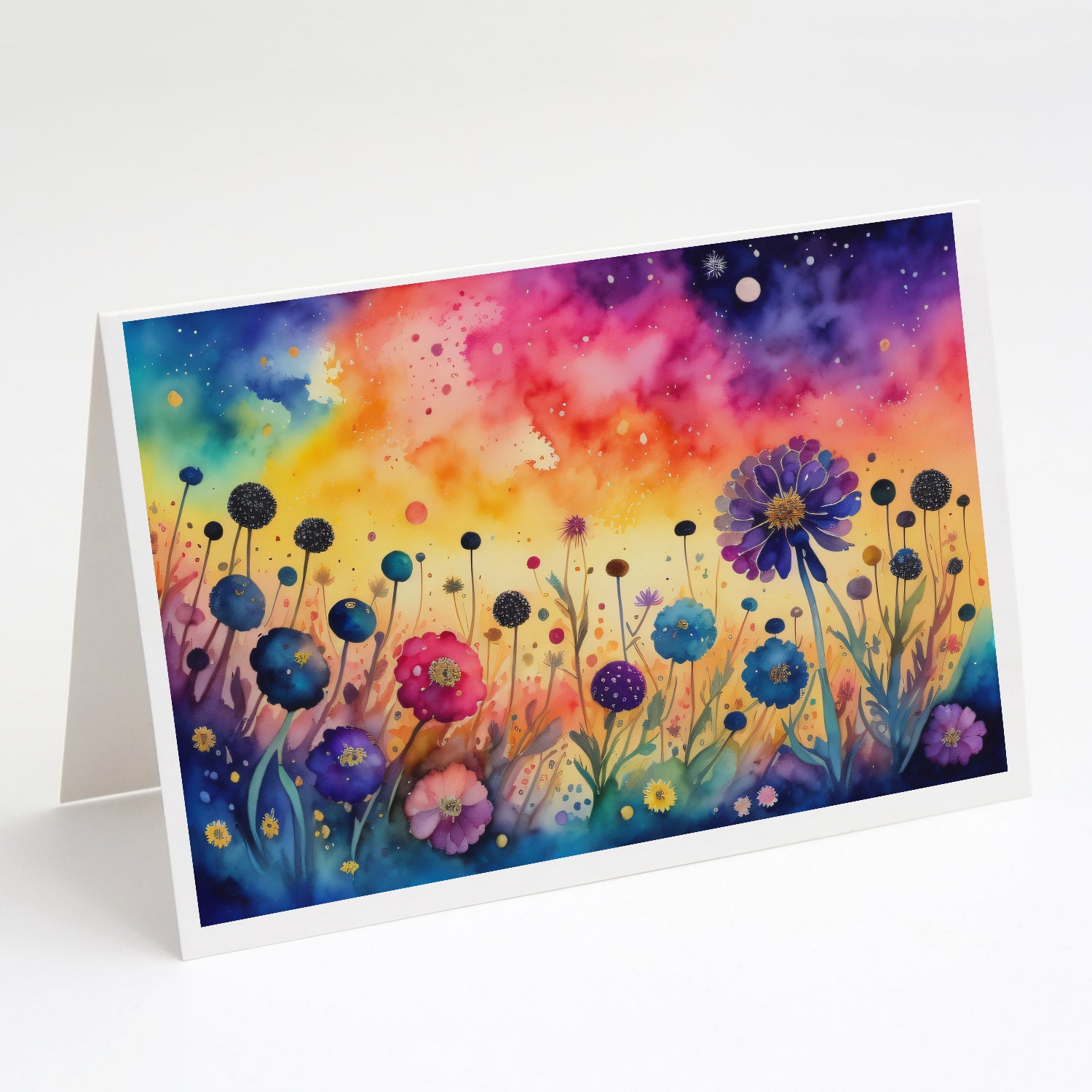Buy this Scabiosa in Color Greeting Cards and Envelopes Pack of 8